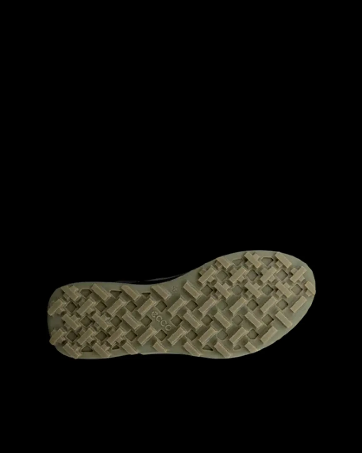 ECCO BIOM 2.1 X MOUNTAIN M