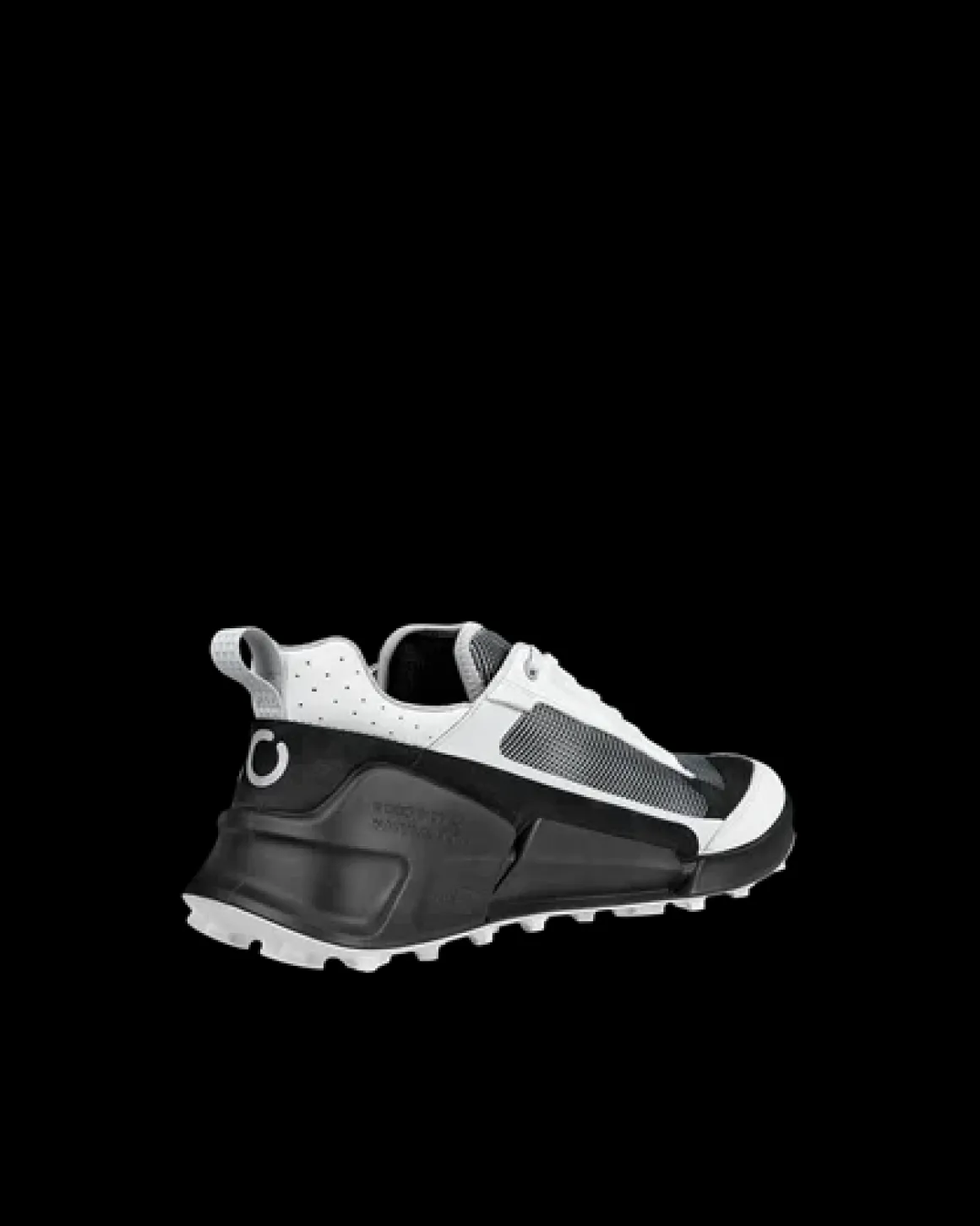 ECCO BIOM 2.1 X MOUNTAIN M