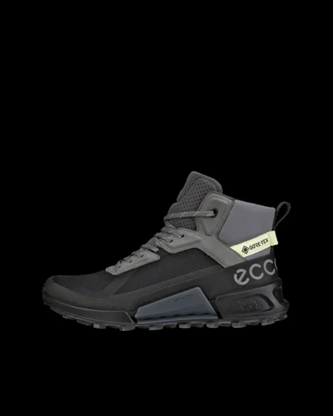 Dame ECCO BIOM 2.1 X MOUNTAIN W