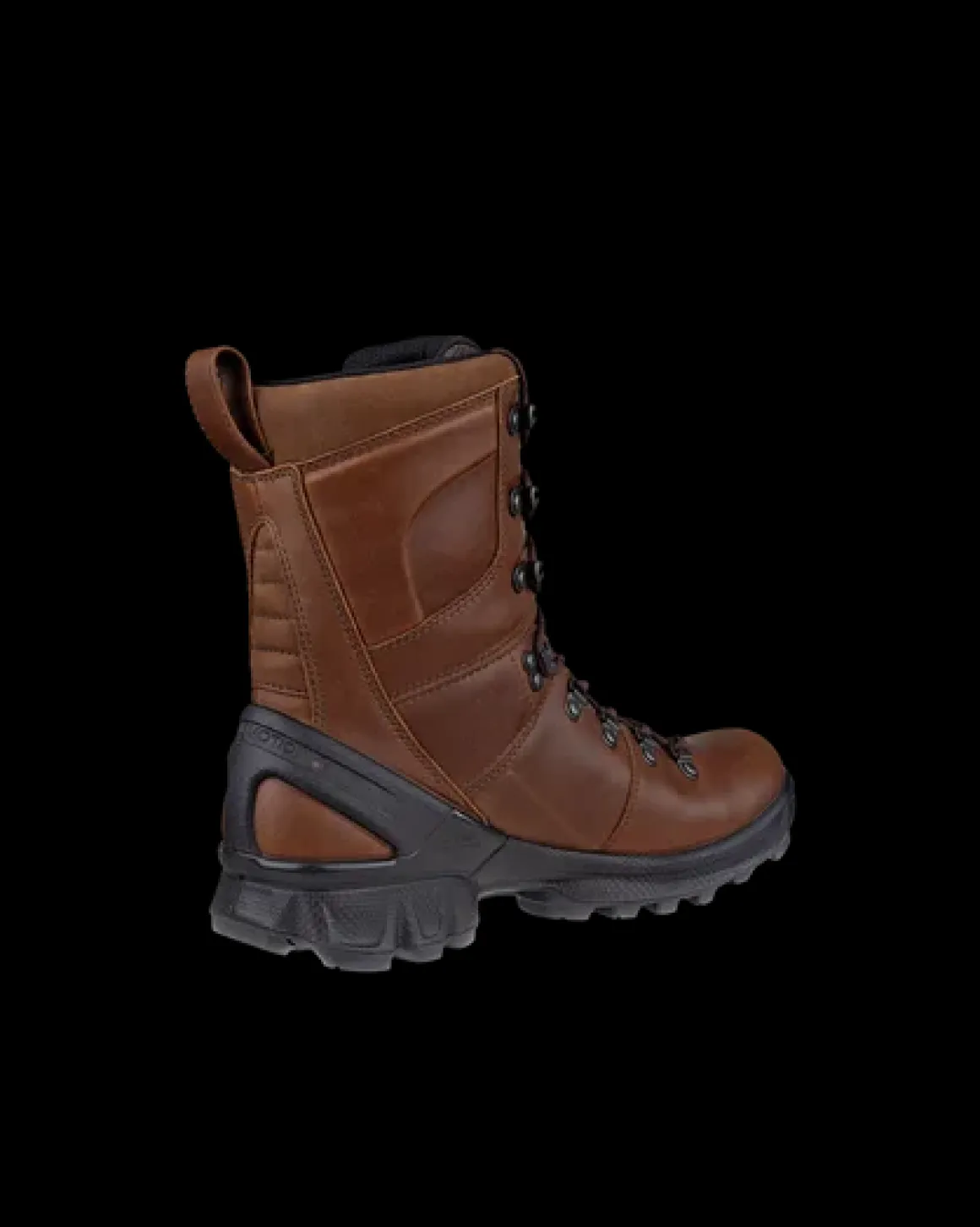 ECCO BIOM HIKE M