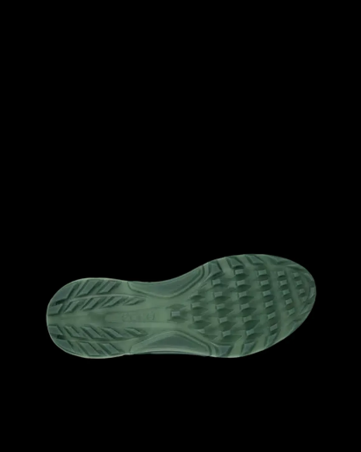 ECCO M GOLF BIOM C4
